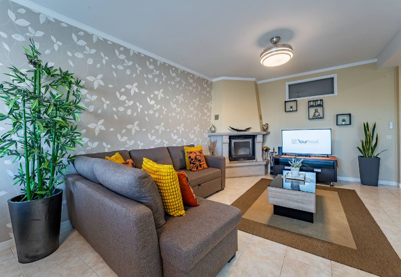 Apartamento em Oliveira do Douro - Cozy and Quiet Spacious Flat 