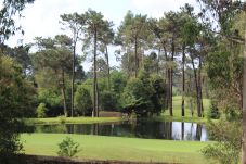 Villa em Gandra - Quinta da Barca Golf - With Views of the River 